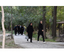 ورزش صبحگاهی دانشگاهیان در دانشگاه تبریز